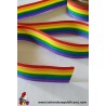 Cinta LGTBI de 10 mm x 1 m