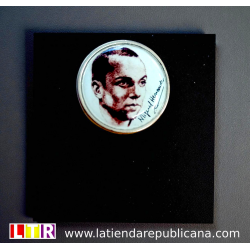 Pin Miguel Hernández