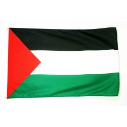 Bandera Palestina Grande