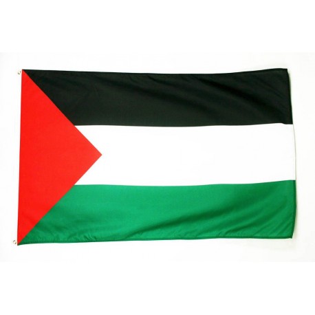 Bandera Palestina Grande