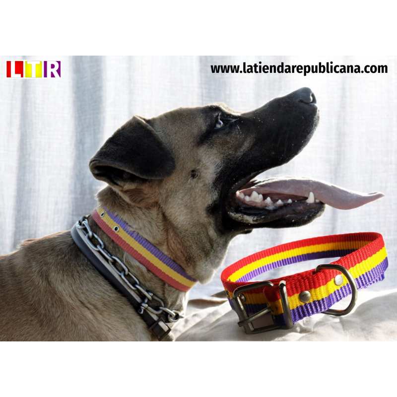Collar Republicano para Perros