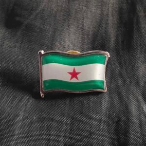 Pin Bandera Andalucía Arbonaida